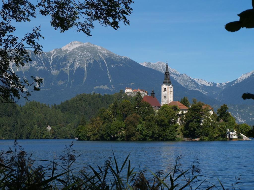 Holiday Home Katricnek Bohinjska Bela Szoba fotó