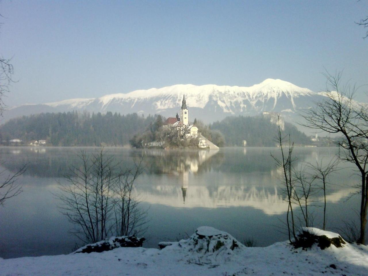 Holiday Home Katricnek Bohinjska Bela Kültér fotó