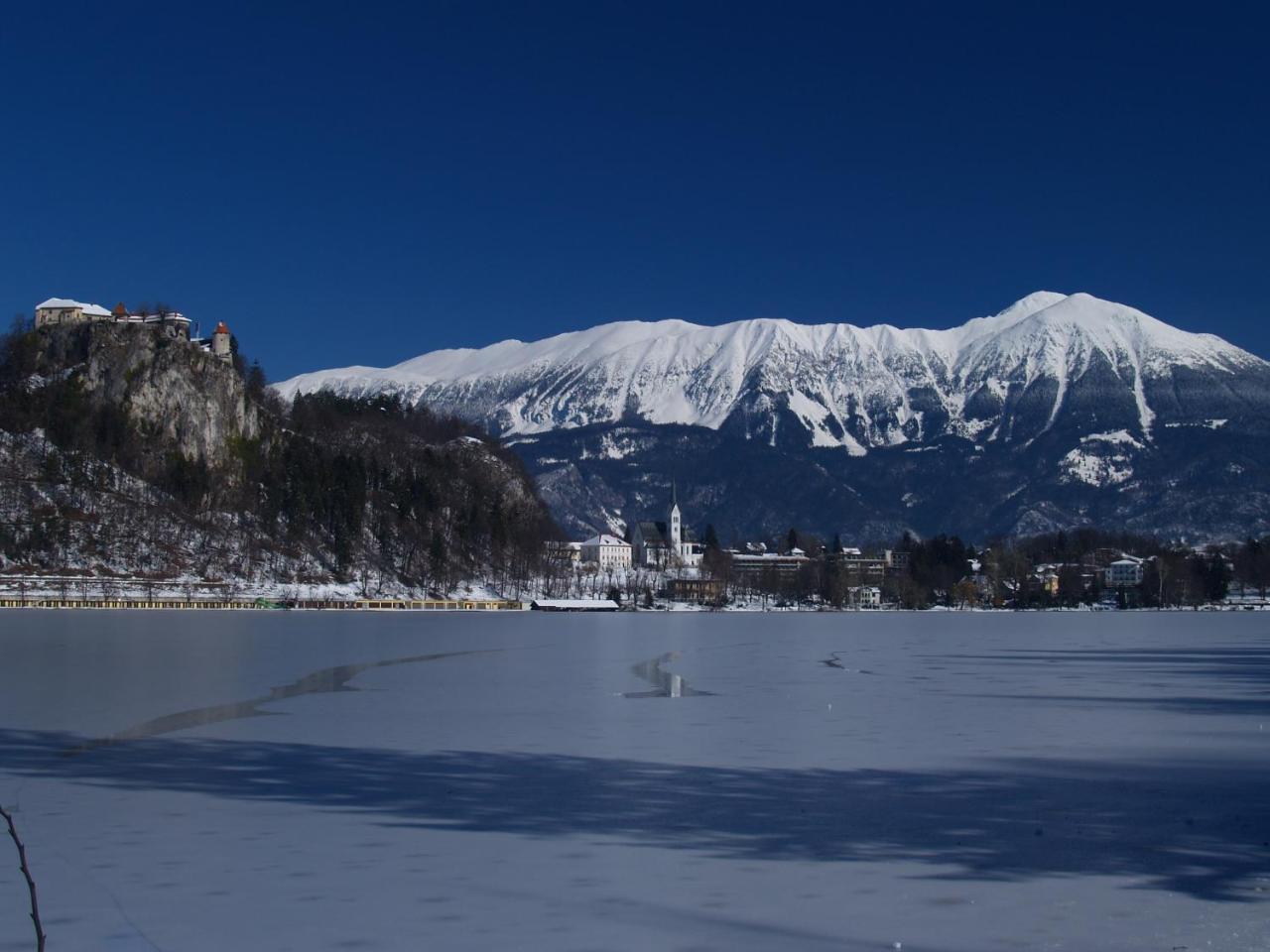 Holiday Home Katricnek Bohinjska Bela Kültér fotó